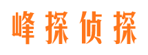 大关市婚姻出轨调查